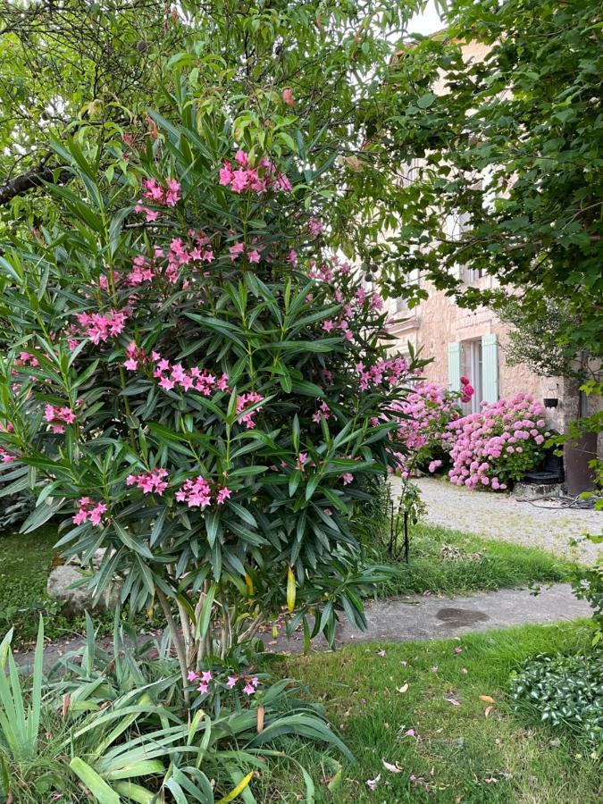 La Maison D'Hortense Et Lili Allemans Kültér fotó